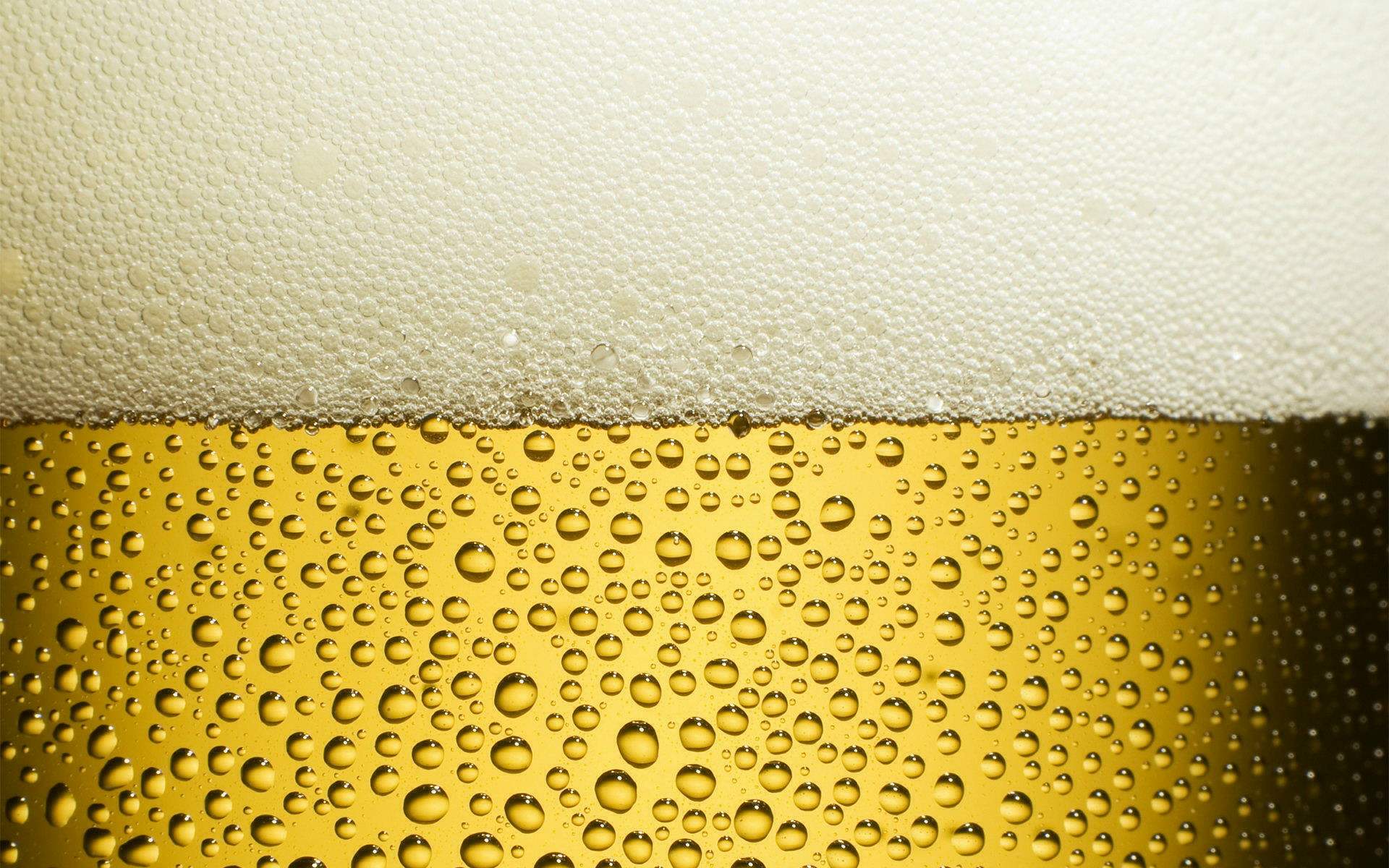 评价啤酒质量的指标，你知道几个？