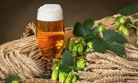 精酿啤酒中，如何选择恰当的浸麦方法？